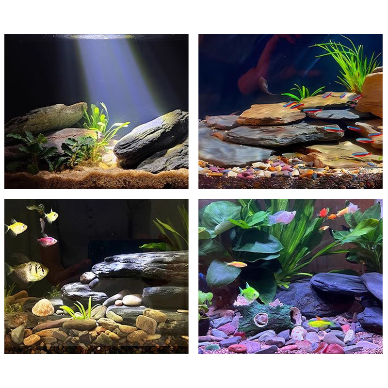 500/1000 グラム水槽造園石キットスレート岩石テラリウ - Aquarium Marine Tank のレビューと価格