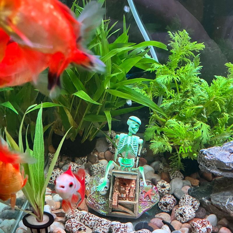 水槽用エアポンプ、水槽の景観を彩るエアーバブル、楽しい水槽装 - Marine Aquarium All In One のレビューと価格