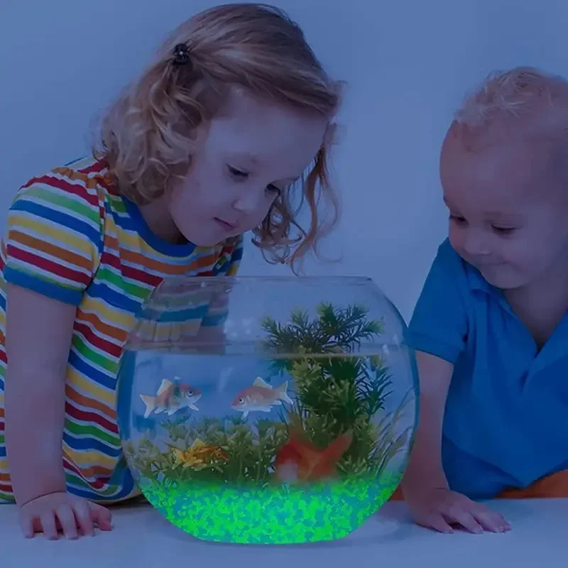 暗い小石の中で輝き、明るい砂岩、家の庭、庭、屋外の小道、芝生 - Aquarium Marine Tank のレビューと価格
