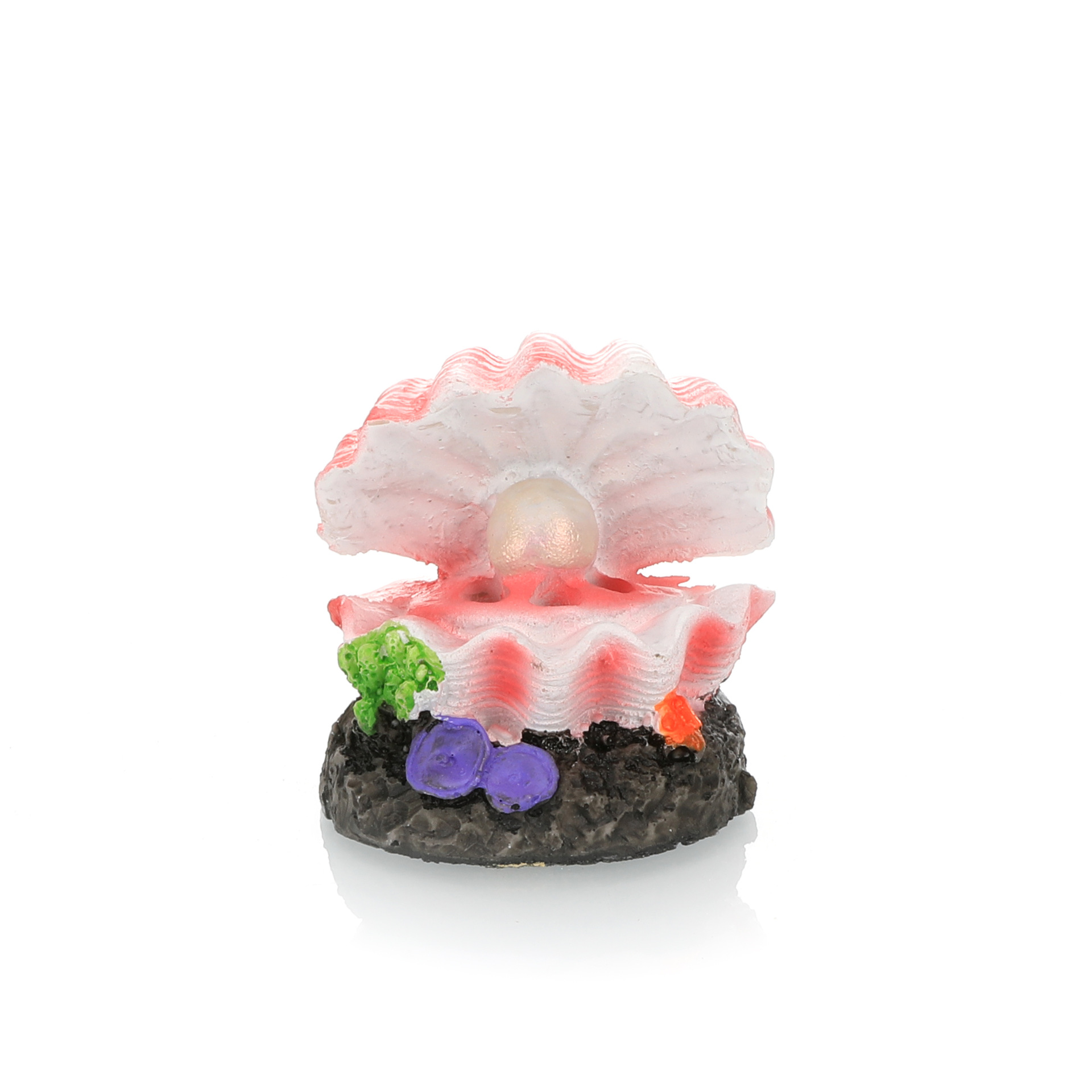 水槽造園シミュレーション火山水族館アクセサリーロッカリーエア - Marine Aquarium All In One のレビューと価格