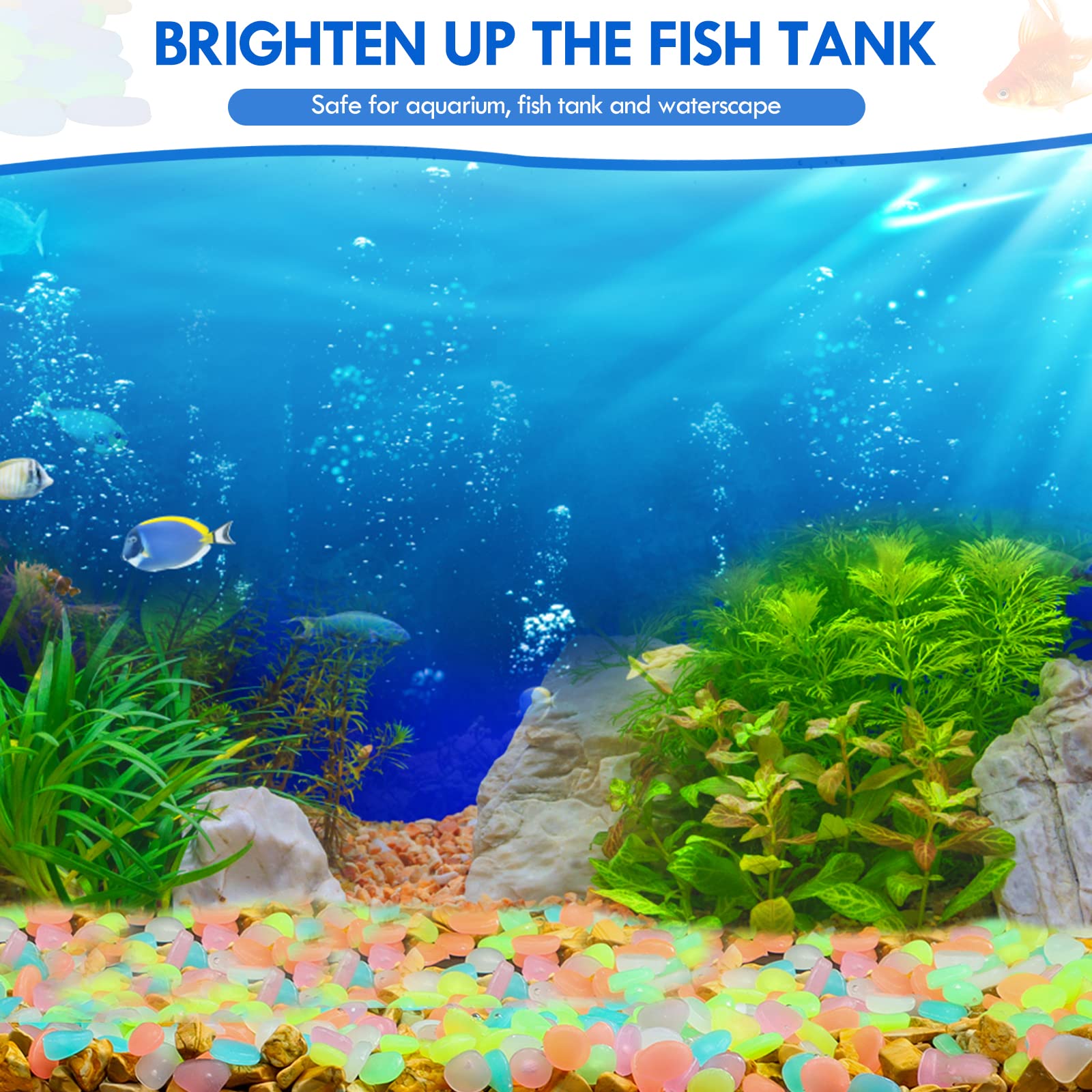 100 個暗闇で光る庭の小石歩道ガーデンテラス芝生庭パティオ - Aquarium Marine Tank のレビューと価格