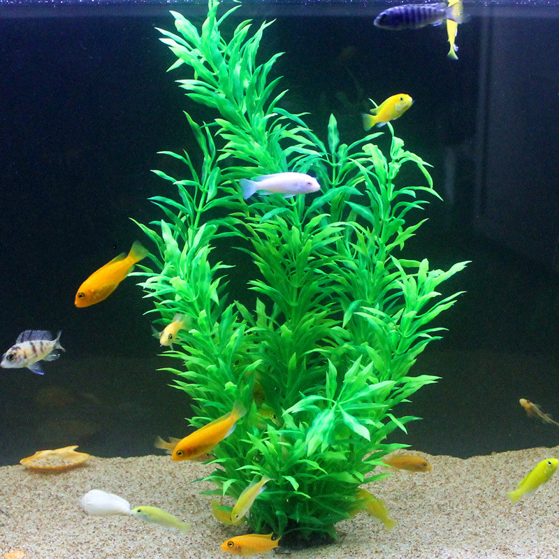 人工水槽50cm,珍しい植物,水族館,偽の竹の葉,水草,プラ - Aquarium Marine Tank のレビューと価格