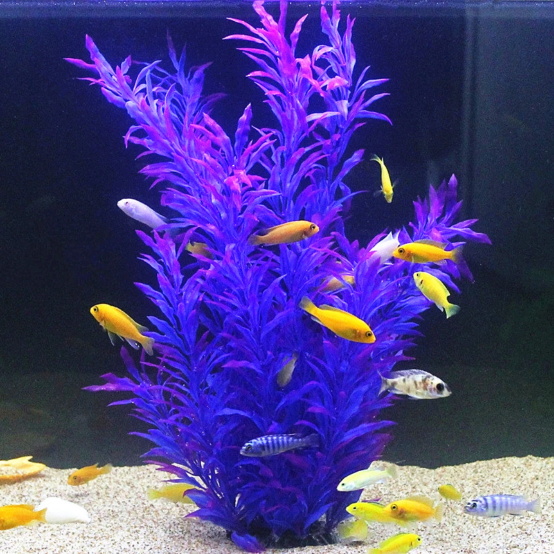 人工水槽50cm,珍しい植物,水族館,偽の竹の葉,水草,プラ - Aquarium Marine Tank のレビューと価格