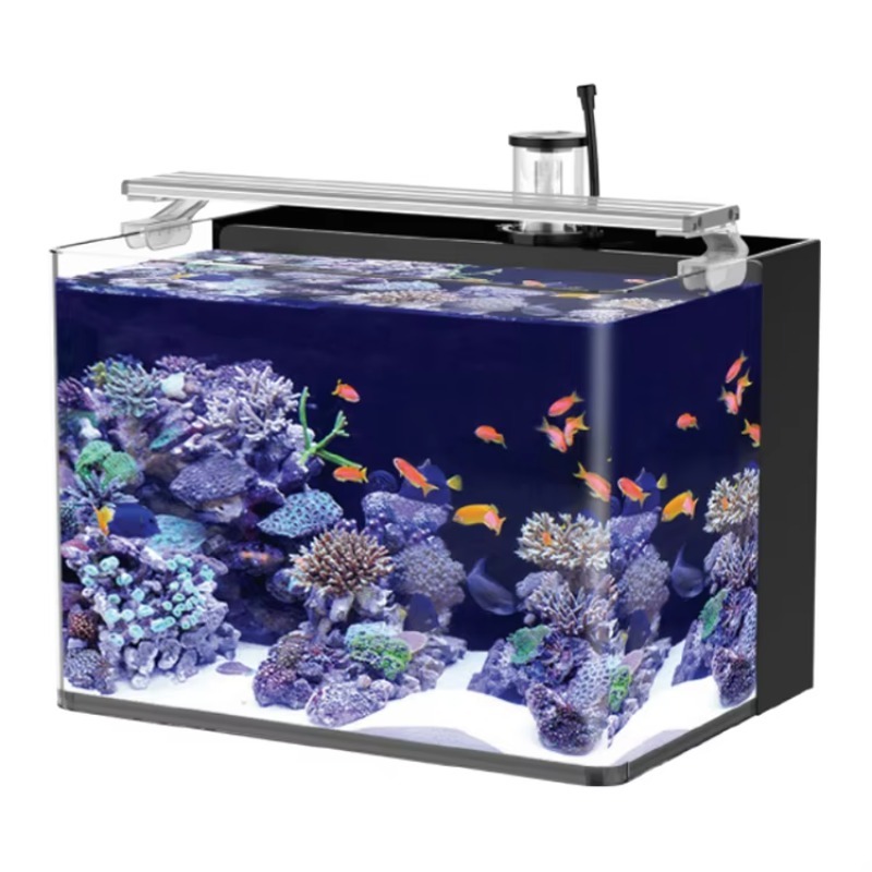 テーブル型湾曲海水魚水槽、リビングルーム、寝室、オフィス用照 - Marine Aquarium All In One のレビューと価格