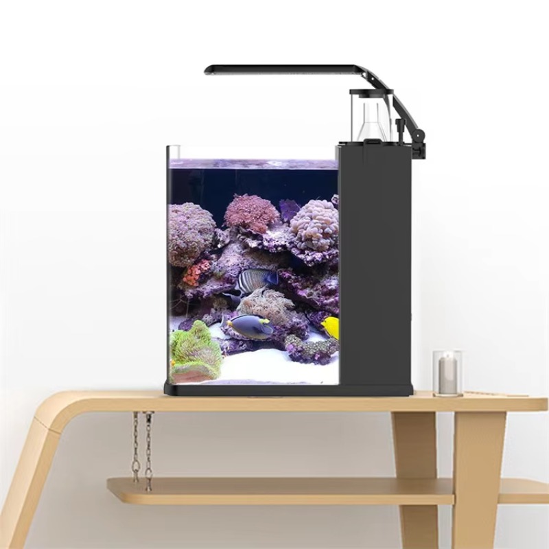 テーブル型湾曲海水魚水槽、リビングルーム、寝室、オフィス用照 - Marine Aquarium All In One のレビューと価格