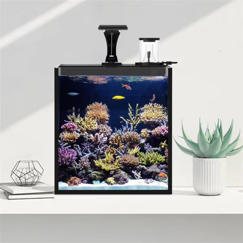 テーブル型湾曲海水魚水槽、リビングルーム、寝室、オフィス用照 - Marine Aquarium All In One のレビューと価格